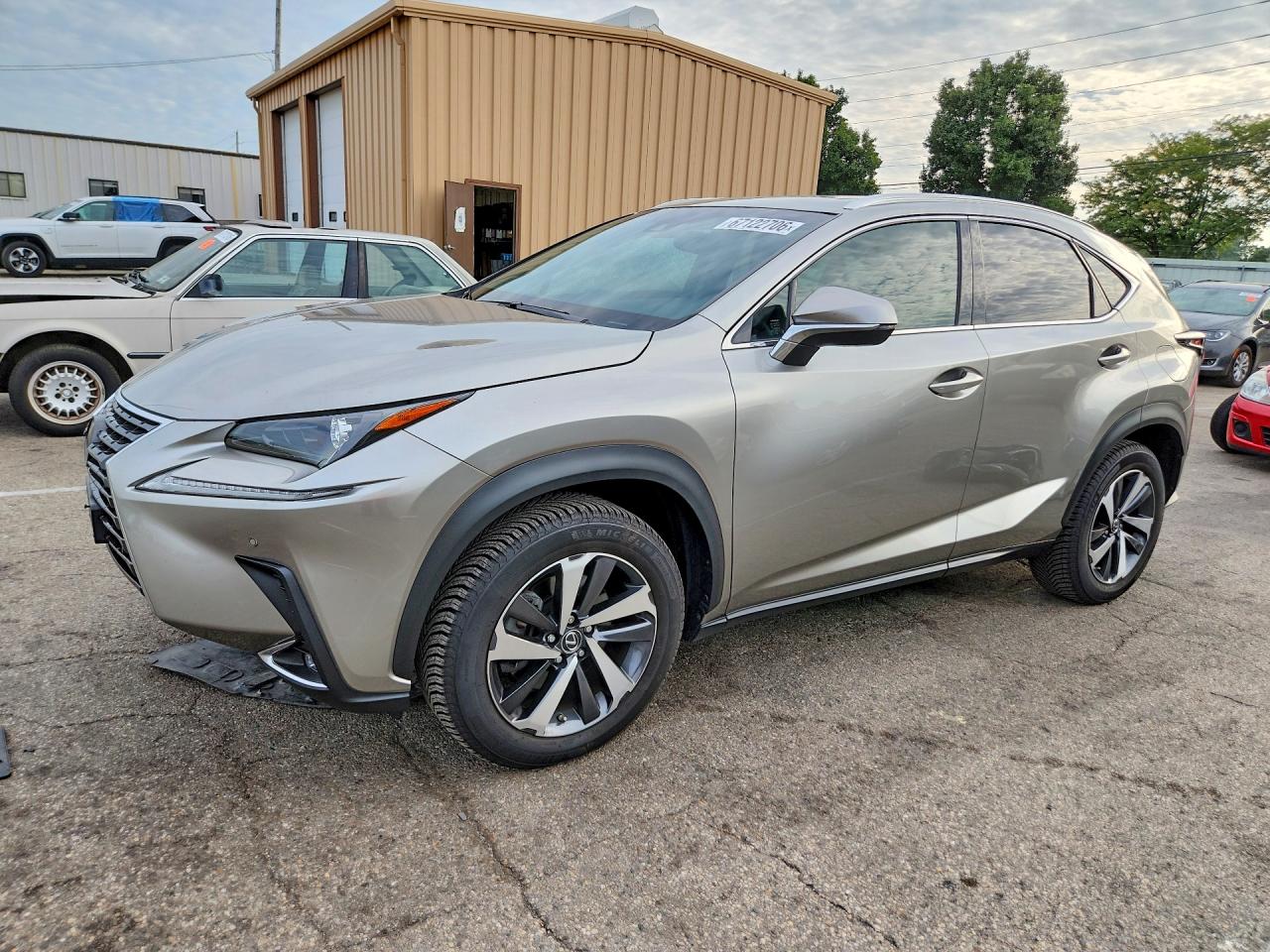 2019 LEXUS NX 300 300 Luxury