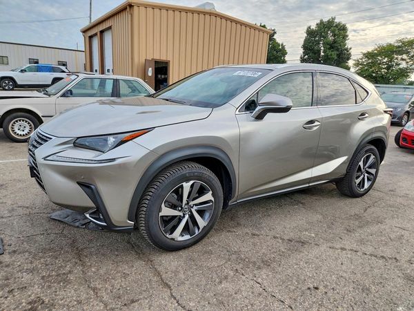 2019 LEXUS NX 300 300 Luxury