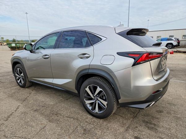 2019 LEXUS NX 300 300 Luxury
