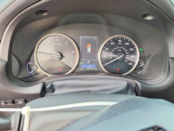 2019 LEXUS NX 300 300 Luxury