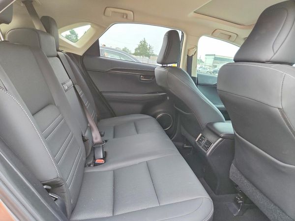 2019 LEXUS NX 300 300 Luxury