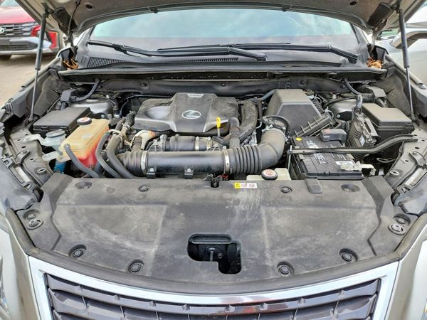 2019 LEXUS NX 300 300 Luxury