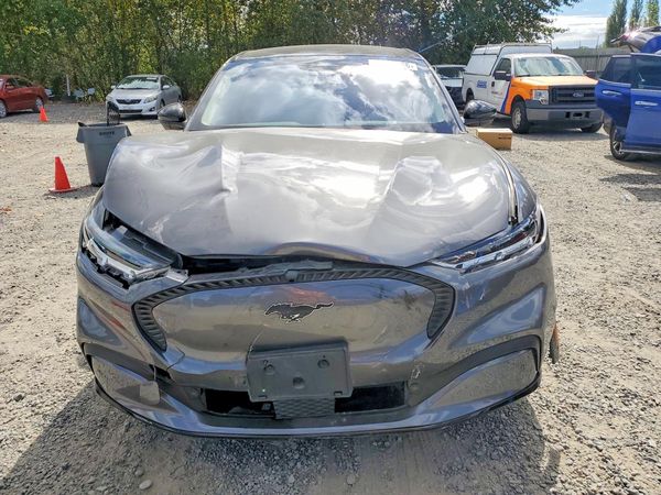 2023 FORD MUSTANG California Route 1 — DIRF