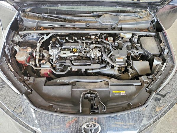 2023 TOYOTA PRIUS