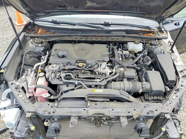 2019 TOYOTA CAMRY LE Hybrid