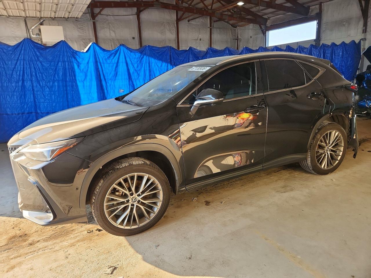 2024 LEXUS NX 350H 350 Luxury