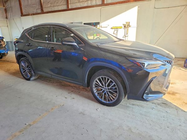 2024 LEXUS NX 350H 350 Luxury