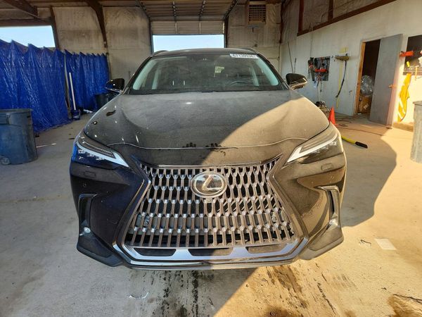 2024 LEXUS NX 350H 350 Luxury