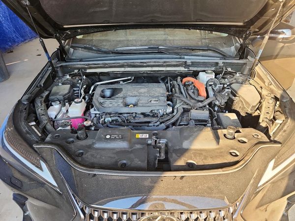 2024 LEXUS NX 350H 350 Luxury