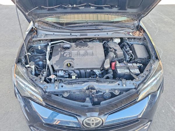 2019 TOYOTA COROLLA
