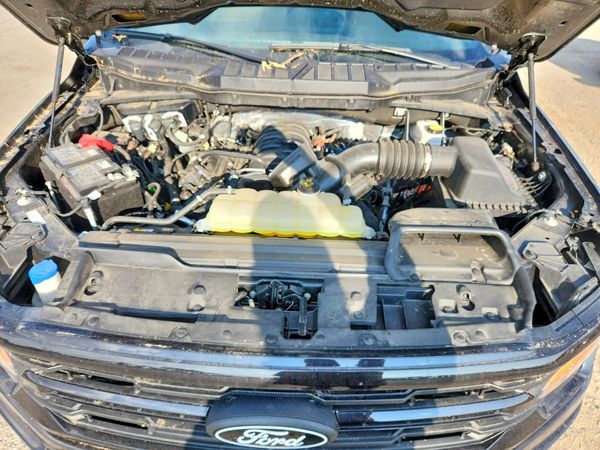 2025 FORD F150 XLT