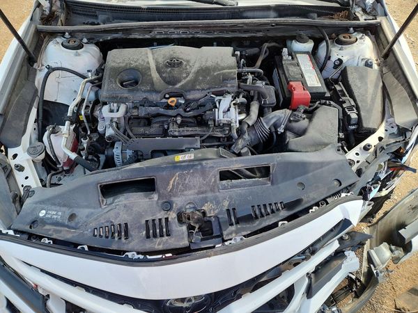 2019 TOYOTA CAMRY L/LE/SE/XLE — Engine bay