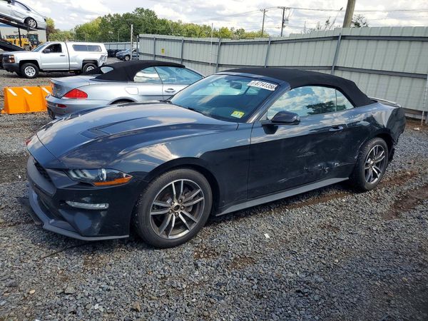 2019 FORD MUSTANG