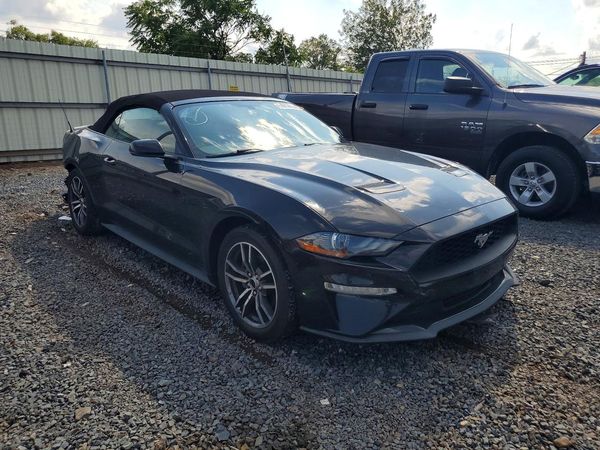 2019 FORD MUSTANG