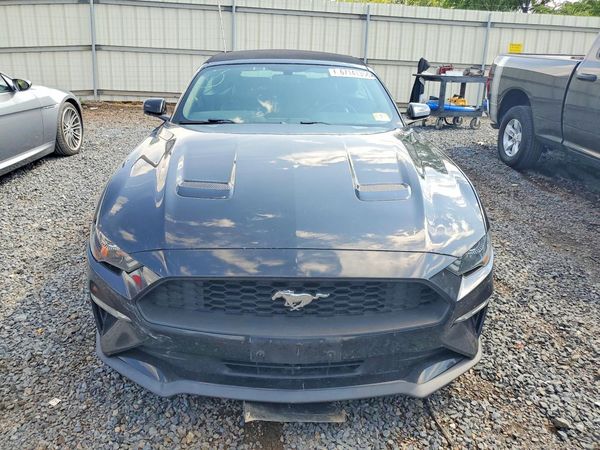 2019 FORD MUSTANG