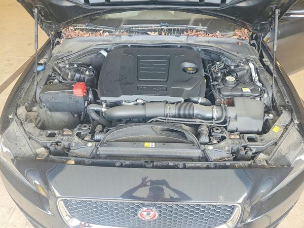 2018 JAGUAR XE