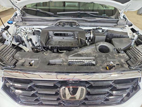 2025 HONDA PILOT ELITE, ELITE HPD