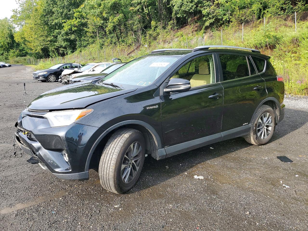 2018 TOYOTA RAV4 LE Plus/XLE — Front 3/4