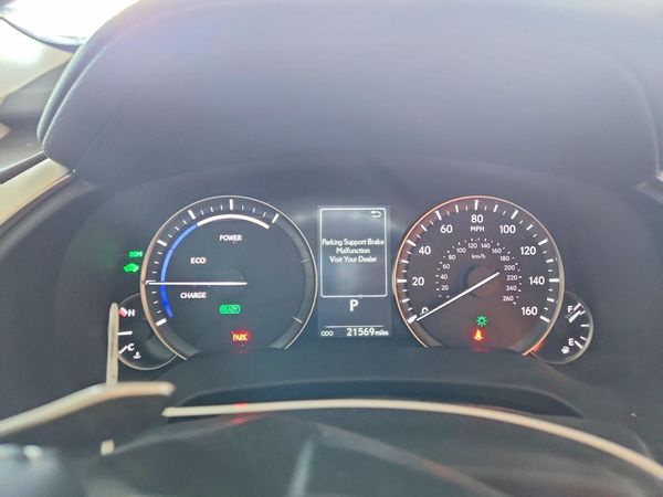 2021 LEXUS RX 450h Luxury