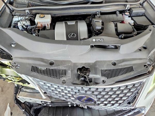 2021 LEXUS RX 450h Luxury