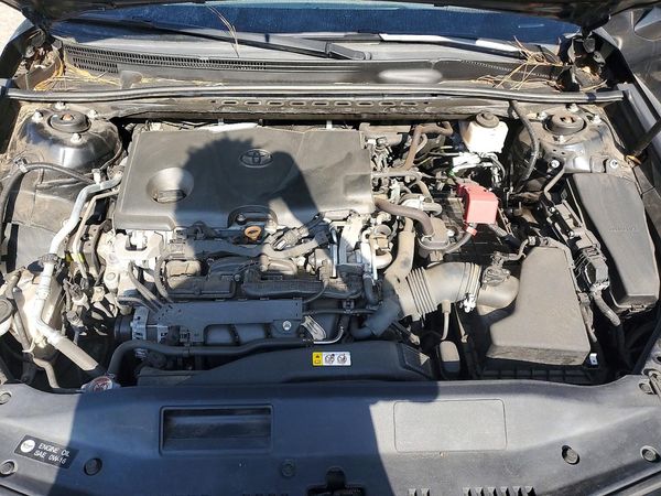 2019 TOYOTA CAMRY
