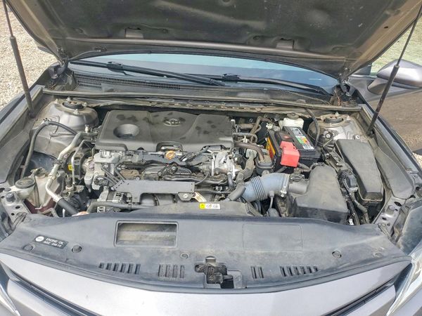 2019 TOYOTA CAMRY L/LE/SE/XLE