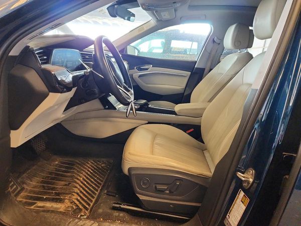2019 AUDI E-TRON