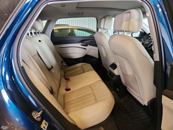 2019 AUDI E-TRON