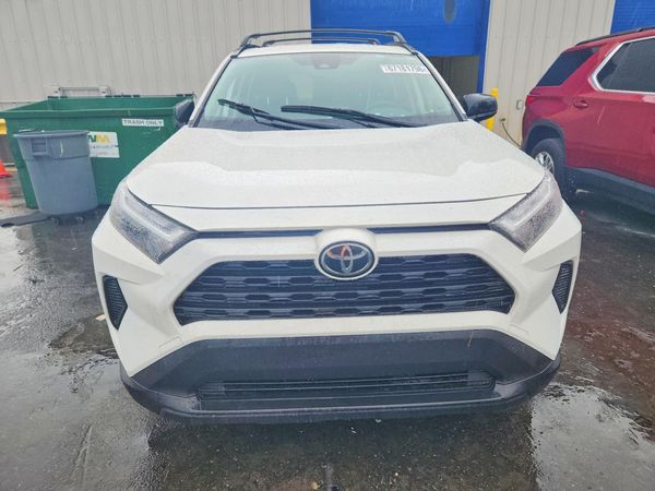 2025 TOYOTA RAV4 LE — DIRF