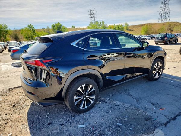 2019 LEXUS NX 300 300 Luxury