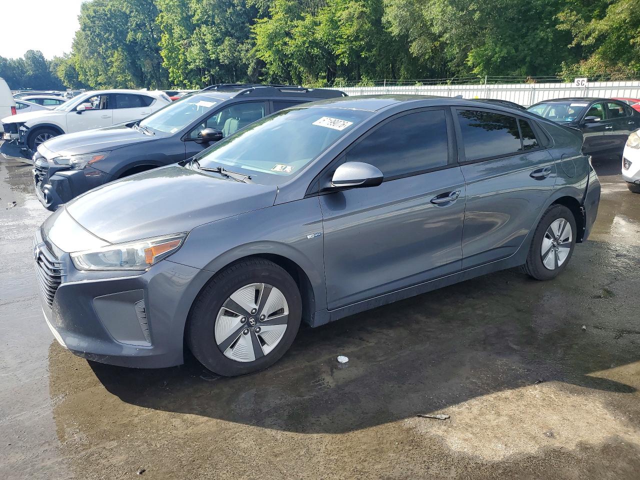 2019 HYUNDAI IONIQ Blue (HEV)