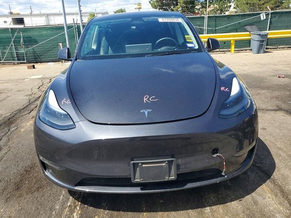 2024 TESLA MODEL Y — DIRF