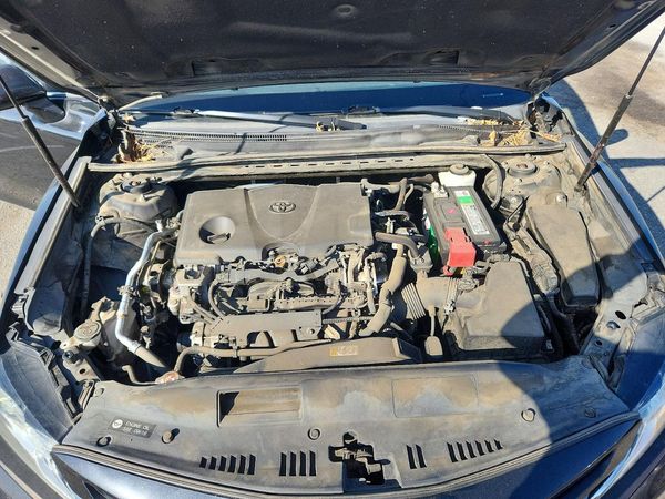 2019 TOYOTA CAMRY L/LE/SE/XLE