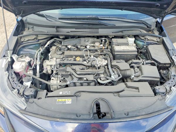 2023 TOYOTA COROLLA