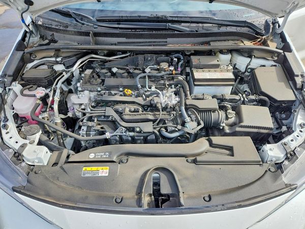 2026 TOYOTA COROLLA