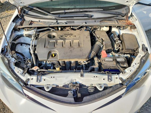 2019 TOYOTA COROLLA L/LE/SE/XLE/XSE