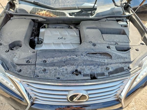 2014 LEXUS RX 350