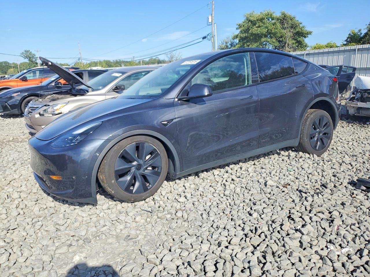 2024 TESLA MODEL Y