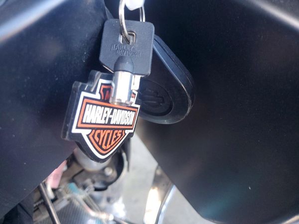 2019 HARLEY-DAVIDSON FLTRX