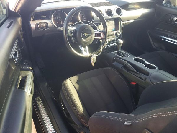 2019 FORD MUSTANG