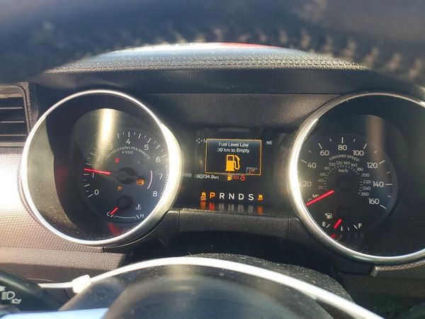 2019 FORD MUSTANG