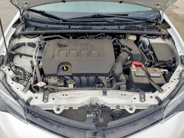 2019 TOYOTA COROLLA L/LE/SE/XLE/XSE