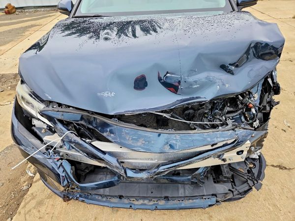 2019 TOYOTA CAMRY