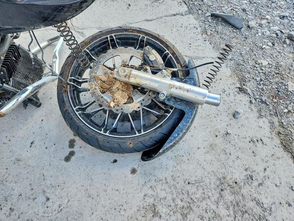 2026 HARLEY-DAVIDSON FL — LOOS