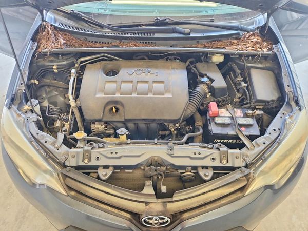 2015 TOYOTA COROLLA L/LE