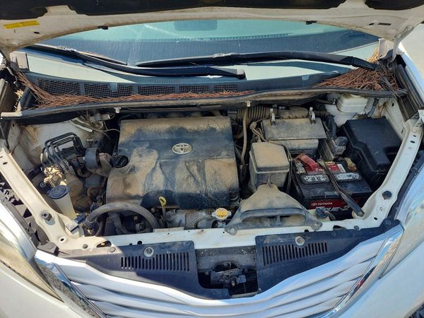 2014 TOYOTA SIENNA