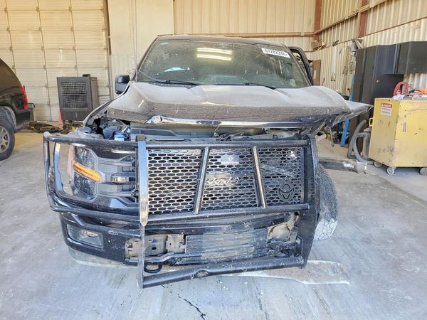 2025 FORD F150 XLT — DIRF