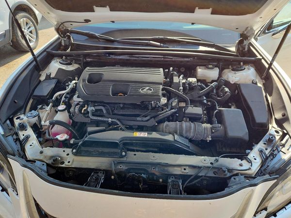 2024 LEXUS ES250 300h Premium — Engine bay