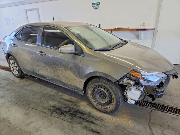 2019 TOYOTA COROLLA