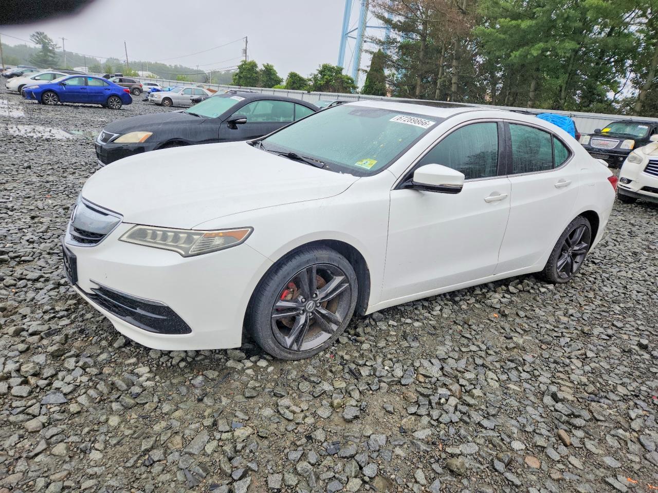 2015 ACURA TLX TECH V6